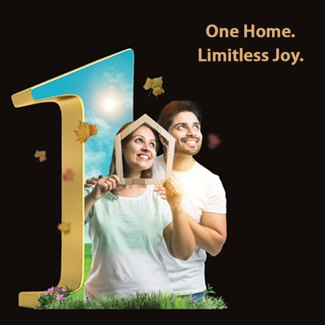 2 BHK homes for Sale in Punawale